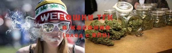 индика Верея