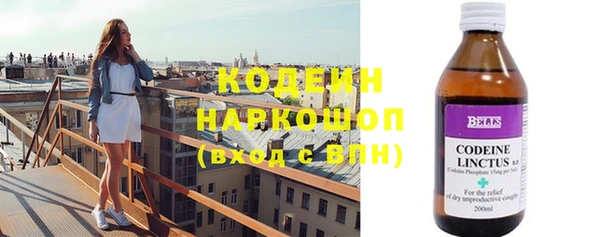 СК Новодвинск