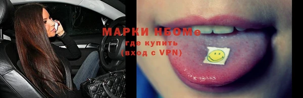 СК Новодвинск