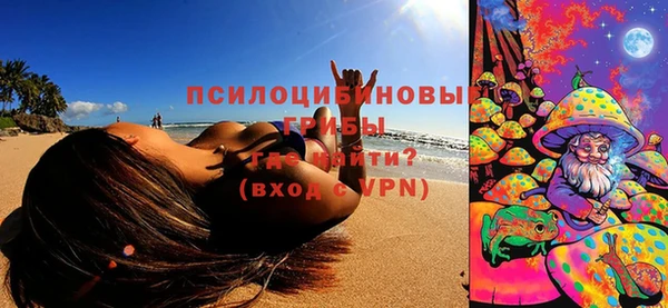 СК Новодвинск