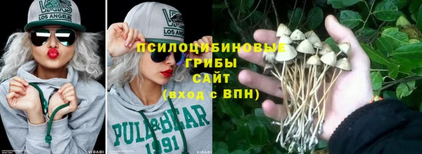 СК Новодвинск