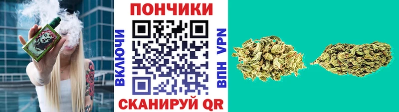 Каннабис конопля  Полярный 